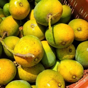 Himsagor-হিমসাগর