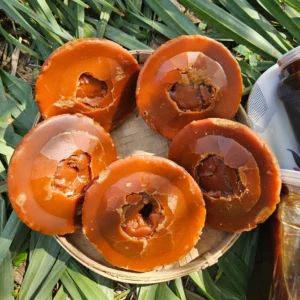 খেজুর গুড়( গোলপাটালি-৩কেজি )