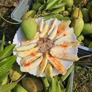 বারোমাসি কাঁচা টক আম