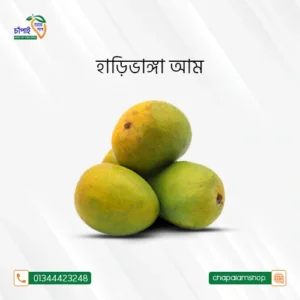 হাড়িভাংগা আম (১০কেজি)