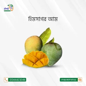 ক্ষীরসাপাত আম (১০কেজি)