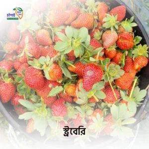 স্ট্রোবেরী